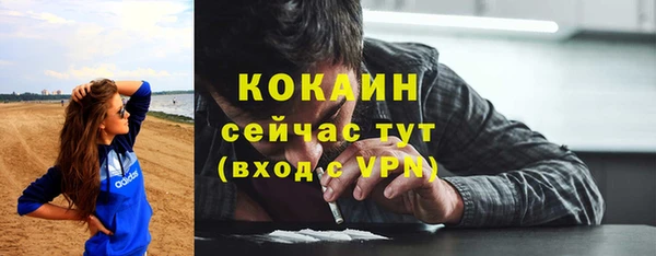 ALPHA-PVP Алексеевка