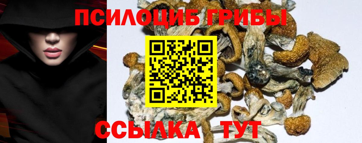 как найти закладки  Псилоцибиновые грибы мухоморы  Вход с VPN  Асино 